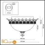 Потолочный светильник Odeon Light Varza 2430/3C - Схема