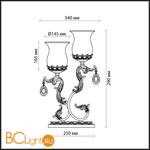 Настольная лампа Odeon Light Varza 2430/2T - Схема