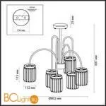 Люстра Odeon Light Vassa 4987/6C - Фото 1