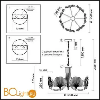 Люстра Odeon Light Ventaglio 4870/7 - Фото 2