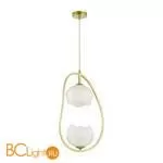 Подвесной светильник Odeon Light Waterlily 4873/2