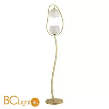 Напольный светильник Odeon Light Waterlily 4873/2F