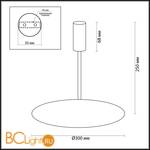 Потолочный светильник Odeon Light Whittaker 3844/12CL - Схема