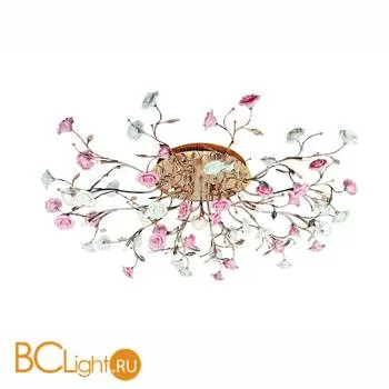 Потолочный светильник Omnilux OML-12717-19