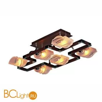 Потолочный светильник Omnilux OML-26207-06