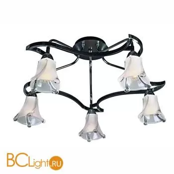 Потолочная люстра Omnilux OML-27507-05
