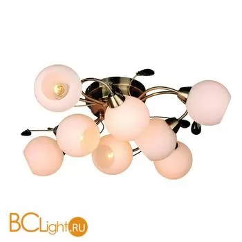 Потолочная люстра Omnilux OML-35727-08