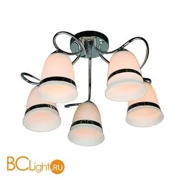 Потолочная люстра Omnilux OML-36607-05