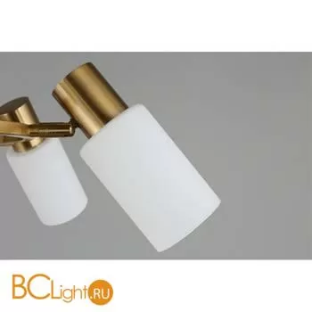 Люстра Omnilux Ales OML-69103-06 - Фото 5