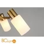 Люстра Omnilux Ales OML-69103-06 - Фото 4