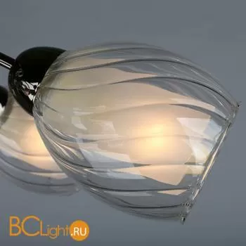 Потолочная люстра Omnilux Anjou OML-31607-05 - Фото 0