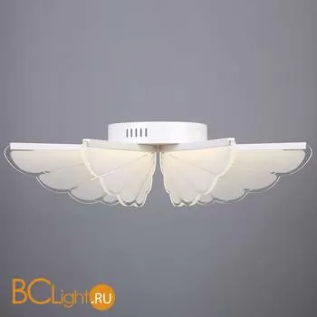 Потолочный светильник Omnilux Aritzo OML-48207-80 - Фото 0