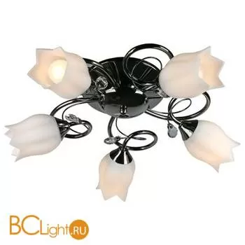 Потолочная люстра Omnilux Armagnac OML-39707-05