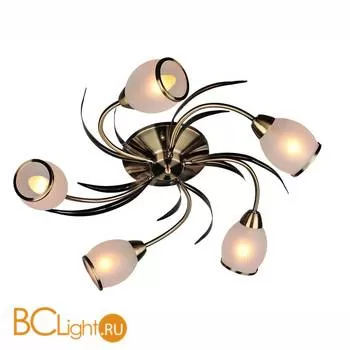 Потолочная люстра Omnilux Auxois OML-35827-05