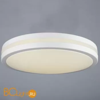 Потолочный светильник Omnilux Barnes OML-43407-34 - Фото 0