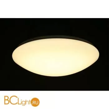 Потолочный светильник Omnilux Berkeley OML-43007-40 - Фото 1