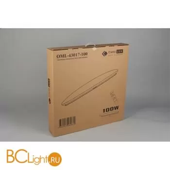 Потолочный светильник Omnilux Berkeley OML-43017-100 - Фото 9