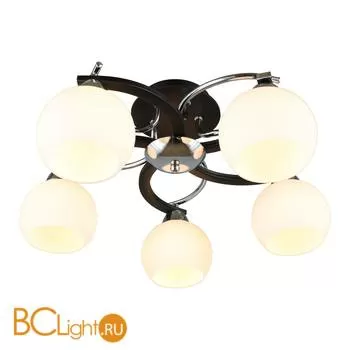 Потолочная люстра Omnilux Caldiero OML-25407-05