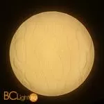 Потолочный светильник Omnilux Canaglia OML-47607-100 - Фото 2