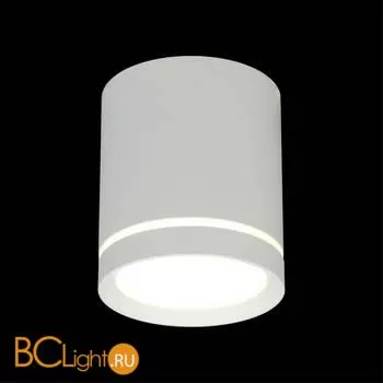 Спот Omnilux Capurso OML-102409-05 - Фото 5