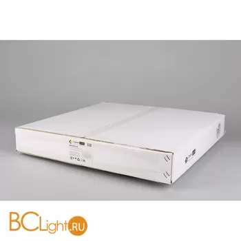 Потолочный светильник Omnilux Casarile OML-08907-219 - Фото 3