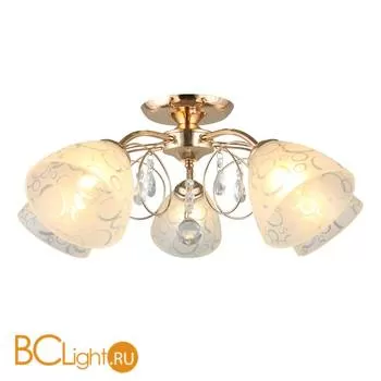 Потолочная люстра Omnilux Castellaro OML-29007-05