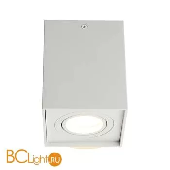 Потолочный светильник Omnilux Feletto OML-101109-01