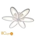 Потолочный светильник Omnilux Florinas OML-49307-60