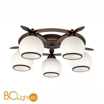 Потолочная люстра Omnilux Fronteira OML-50507-05