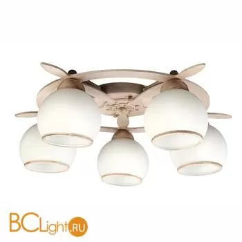 Потолочная люстра Omnilux Fronteira OML-50517-05