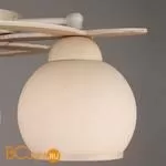 Потолочная люстра Omnilux Fronteira OML-50517-05 - Фото 0