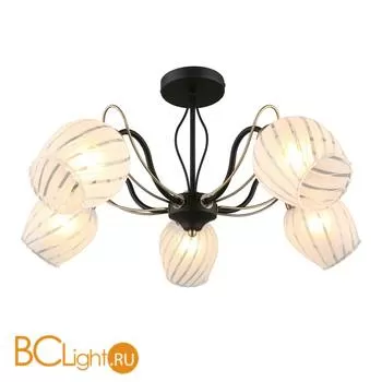 Потолочная люстра Omnilux Garda OML-65507-05