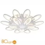 Потолочный светильник Omnilux Glastonbury OML-45807-210