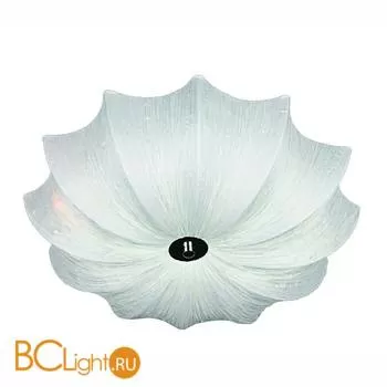 Потолочный светильник Omnilux Grave OML-41907-06