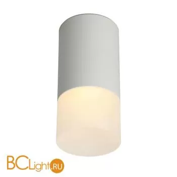 Потолочный светильник Omnilux Lucido OML-100609-01