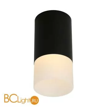 Потолочный светильник Omnilux Lucido OML-100619-01