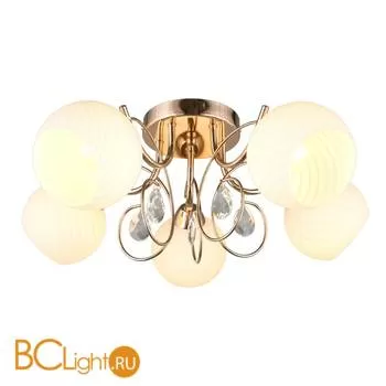 Потолочная люстра Omnilux Martello OML-25207-05