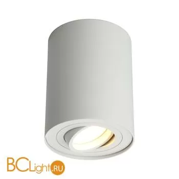 Потолочный светильник Omnilux Pantaleo OML-101009-01