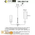 Люстра Omnilux Parrini OML-99617-08 - Фото 9