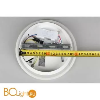 Настенный светильник Omnilux Rovereto OML-12201-21 - Фото 5