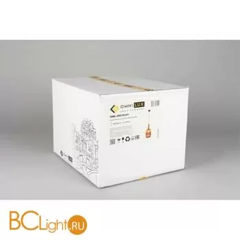 Подвесной светильник Omnilux Terrenove OML-99516-01 - Фото 4