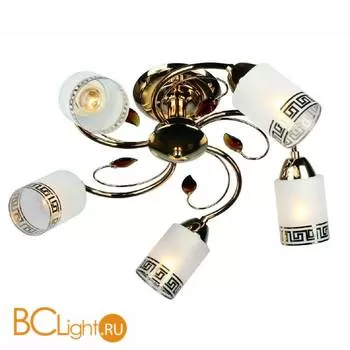 Потолочная люстра Omnilux Valromey OML-36817-05