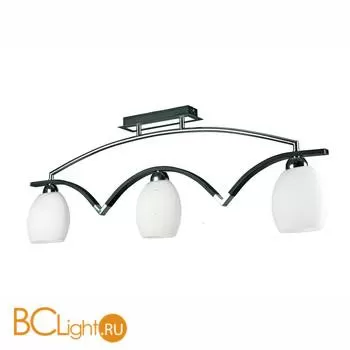 Потолочный светильник Omnilux Verona OML-26908-03