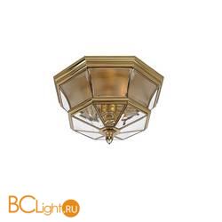 Уличный потолочный светильник Quoizel Newbury QZ-NEWBURY-F-PB