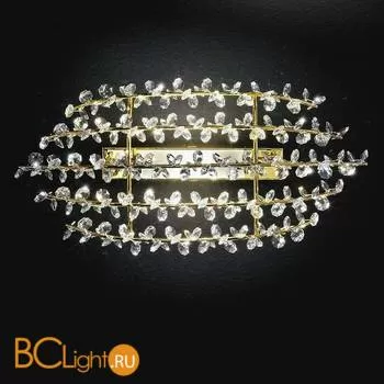 Настенный светильник Renzo Del Ventisette Shine A 14287/1 SWA OZ DEC. ORO