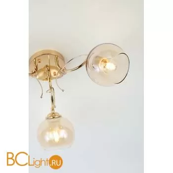 Люстра Rivoli Elli 3095-303 - Фото 4