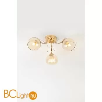 Люстра Rivoli Elli 3095-303 - Фото 2