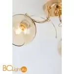 Люстра Rivoli Elli 3095-303 - Фото 5