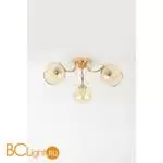 Люстра Rivoli Elli 3095-303 - Фото 1