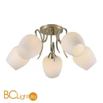 Люстра Rivoli Ofelia 9084-305